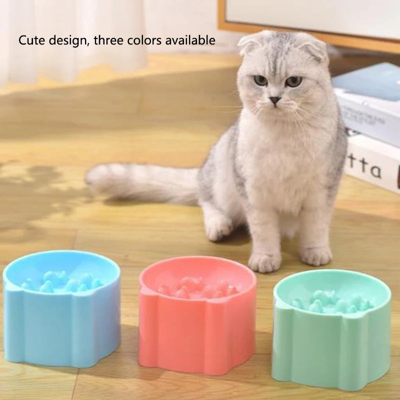 Gamelle haute anti-fausse route — posture protégée pour chat