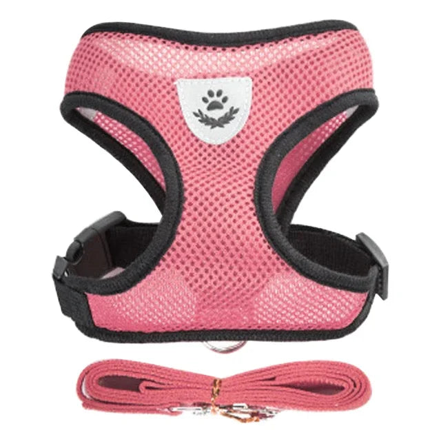 Harnais gilet polyester avec laisse — léger et ajustable pour chat