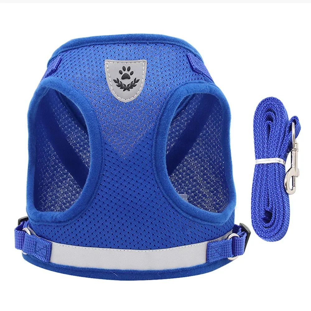 Harnais mesh réfléchissant avec laisse — ajustable pour chat