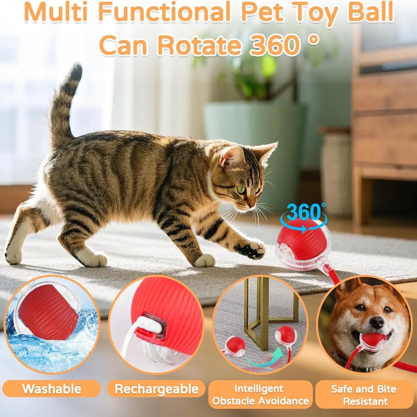Balle électronique interactive rechargeable pour chat