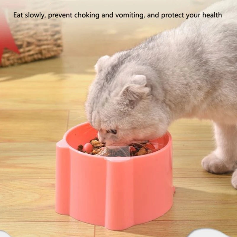 Gamelle haute anti-fausse route — posture protégée pour chat