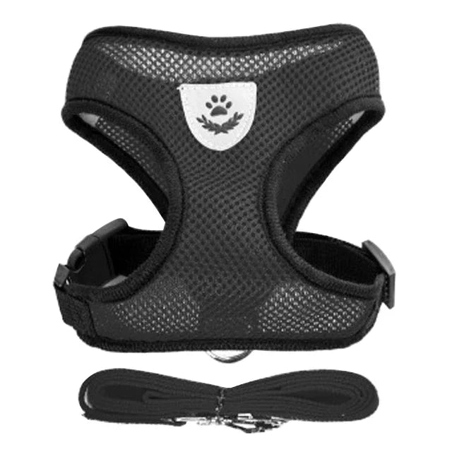 Harnais gilet polyester avec laisse — léger et ajustable pour chat