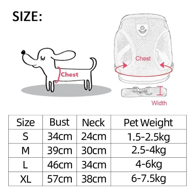 Harnais gilet polyester avec laisse — léger et ajustable pour chat