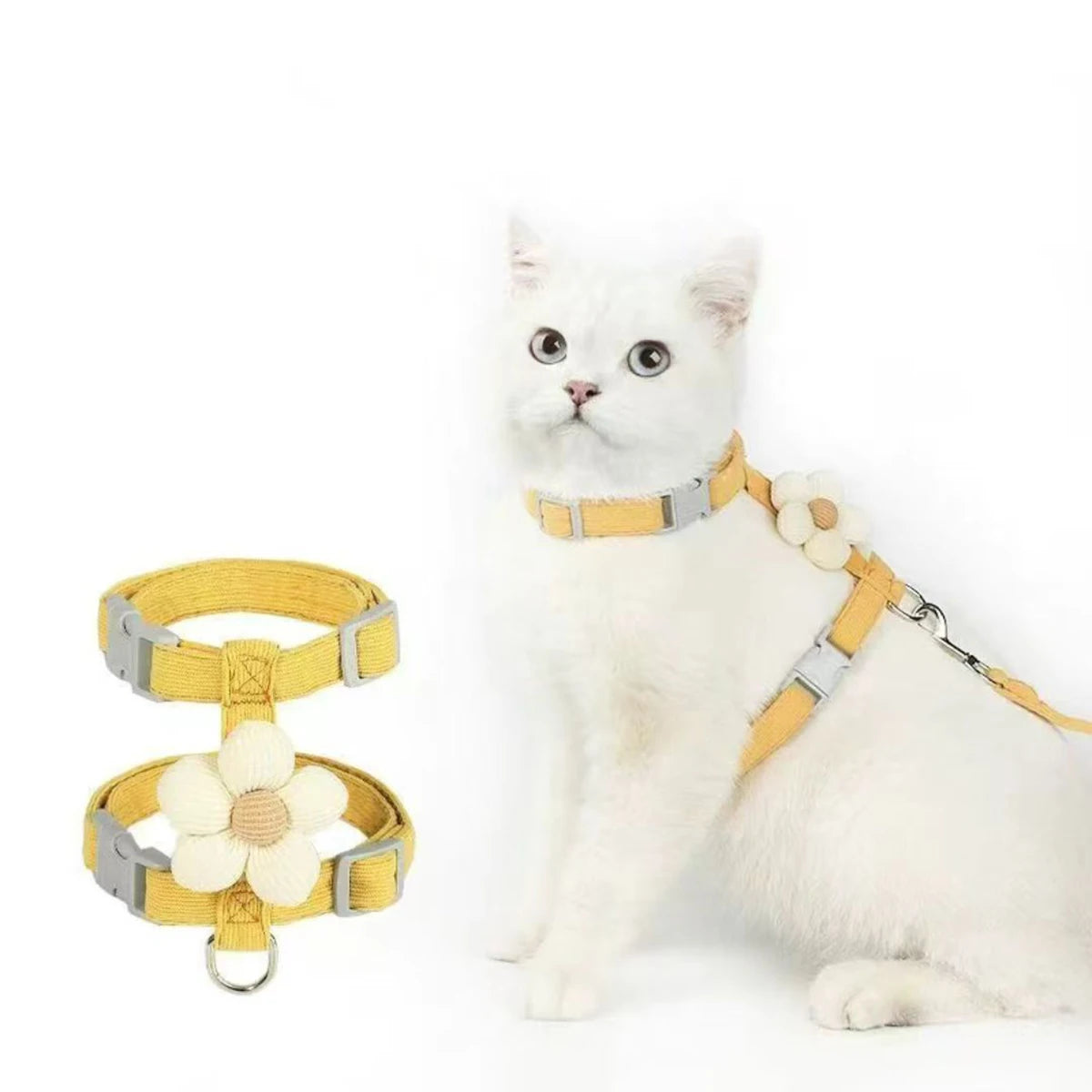 Kit harnais et laisse assortis pour chat